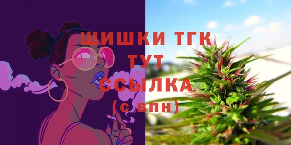 винт Богданович