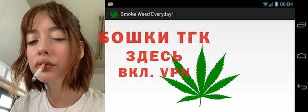 apvp Богородицк