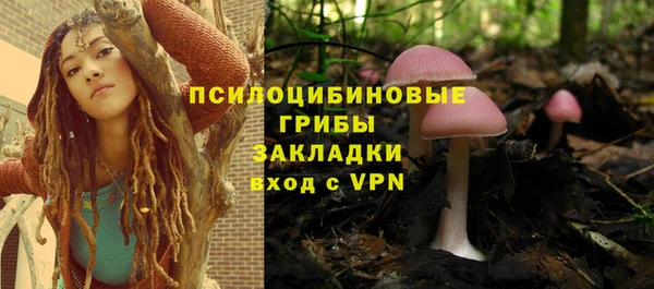 винт Богданович