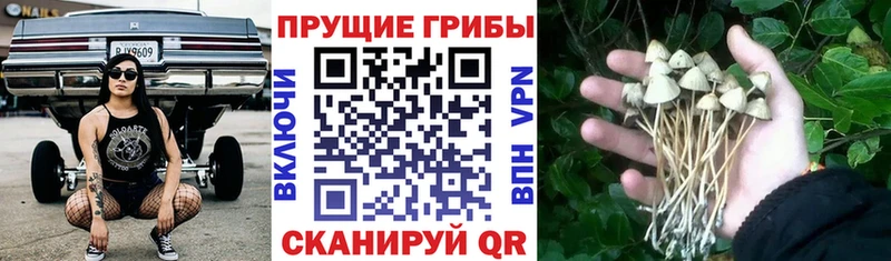 Галлюциногенные грибы ЛСД  Борисоглебск 